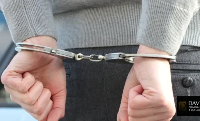Man Arrested After Shooting Dog With Pellet Gun