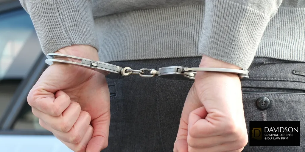 Man Arrested After Shooting Dog With Pellet Gun